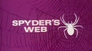 Spyder's Web — foto 1
