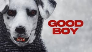 Good Boy — foto 12