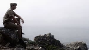 CLINT — foto 2