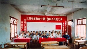 中国六十年社会图景 — foto 6