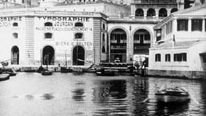 Panorama du port d'Alger — foto 1