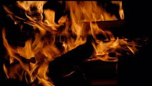 Fire Cat — foto 1