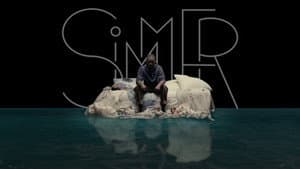 SIMMER — foto 1