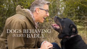Dogs Behaving (Very) Badly — foto 6