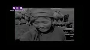 Хүргэн хүү — foto 5