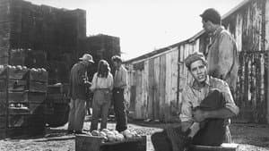 The Lawless — foto 4