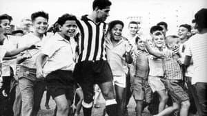 Garrincha, Alegria do Povo — foto 1