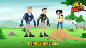Episodio 9