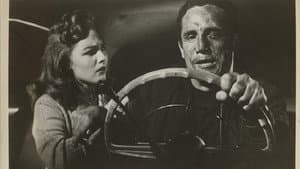The Young Captives — foto 1