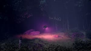METEOR — foto 1