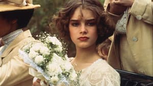 Niña bonita — foto 12