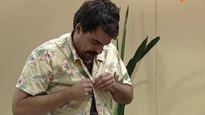 Episodio 39