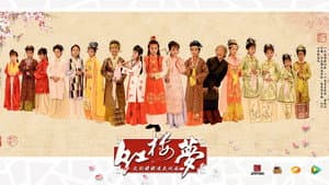 小戏骨：红楼梦之刘姥姥进大观园 — foto 1