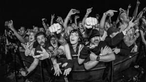 40 Years of Fuckin' Up — foto 1