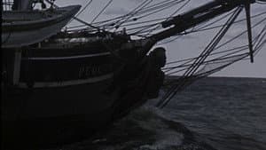 Moby Dick — foto 11