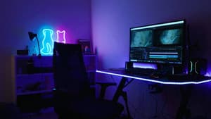 Freelance — foto 5