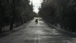 Ποιος Φοβάται το Σκοτάδι — foto 2
