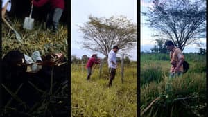 Malas Tierras — foto 1