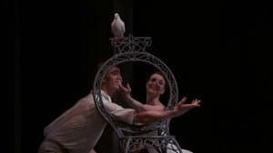 The Cellist and The Two Pigeons — foto 1