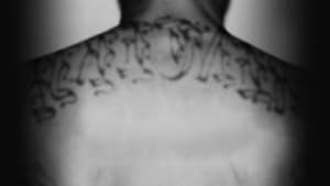 Gangland — foto 5