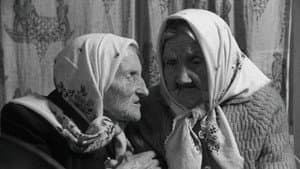 Šimtamečių godos — foto 1