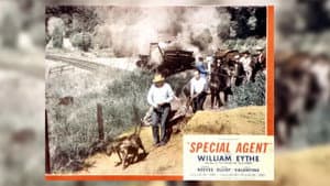 Special Agent — foto 9
