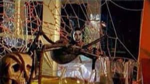 Mari-Cookie and the Killer Tarantula — foto 1