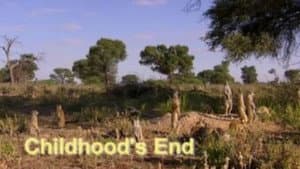 Episodio 5