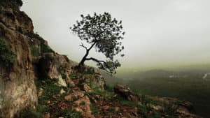 Is Mindfulness Right for You? — foto 1