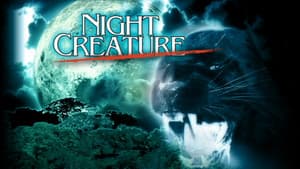Night Creature — foto 1