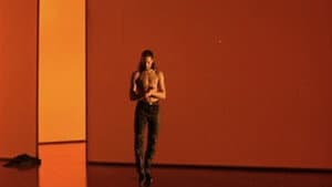 Flamenco — foto 1