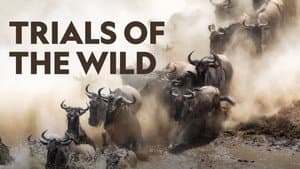 Trials of the Wild — foto 3