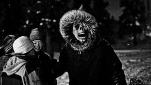 Nalujuk Night — foto 1