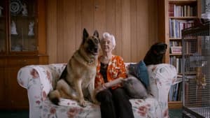 The Age of Loneliness — foto 1