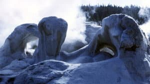 Face of the Earth — foto 1
