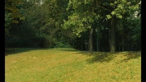 One Way Trip like an Arrow — foto 4