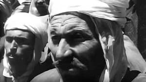جزائرنا (Djazaïrouna) — foto 1