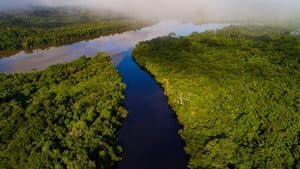 Earth's Great Rivers II — foto 2