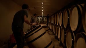 La Ruta del Vino — foto 1