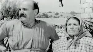 Ήταν Όλοι Τους... Κορόιδα! — foto 1