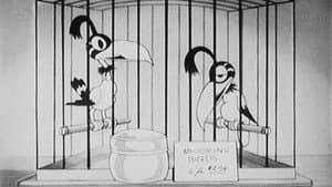 The Bird Store — foto 1