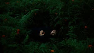 The Human Hibernation — foto 11