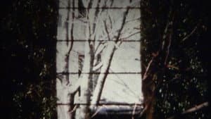 Ming Green — foto 1