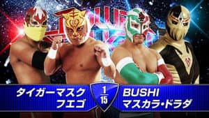 NJPW Power Struggle 2014 — foto 2