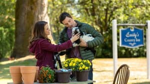 All of My Heart: Inn Love — foto 11