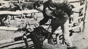 The Phantom Stockman — foto 1