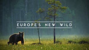 Europe's New Wild — foto 2