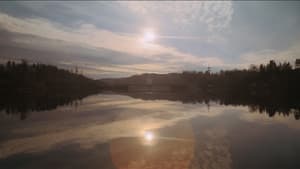 Forever…Forever — foto 1