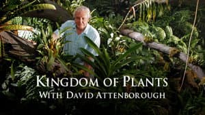 Kingdom of Plants — foto 3
