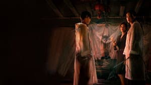 Plan de resurrección — foto 7